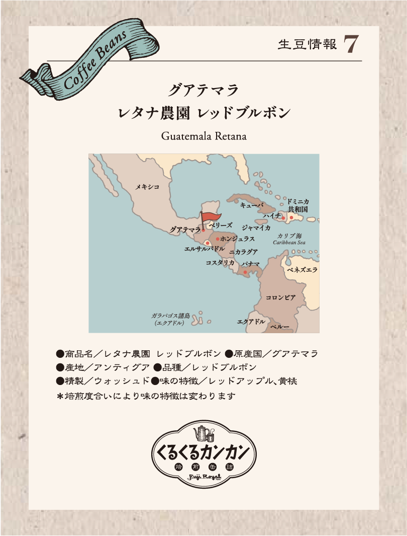 スタンド+焙煎缶詰ブルーグリーン+コンロセット